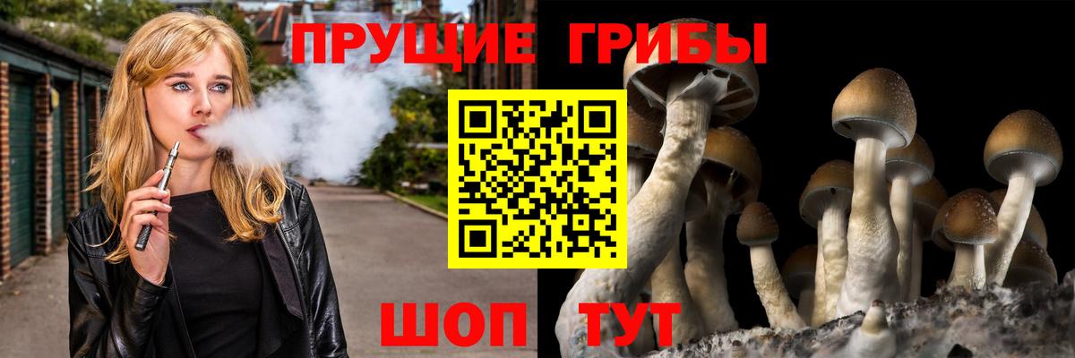 Псилоцибиновые грибы Psilocybe  Псилоцибиновые грибы Cubensis  Вход с VPN  Снежинск 